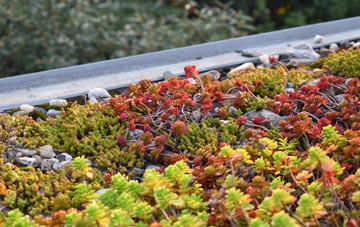 the cost of Linlithgow Bridge green roof installation