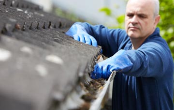 cleaning and inspecting Linlithgow Bridge roofs